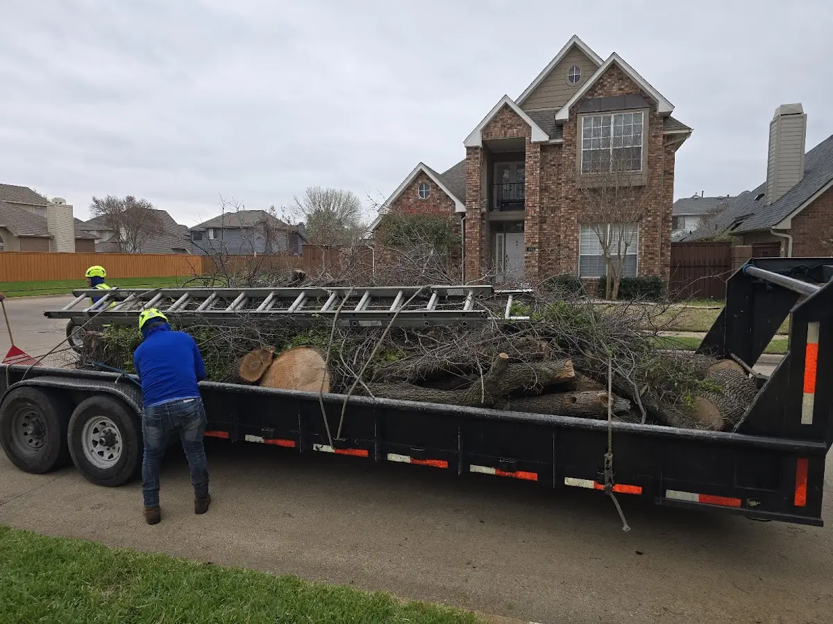 Expert Tree Pest Control with proper safety equipment in Stokes